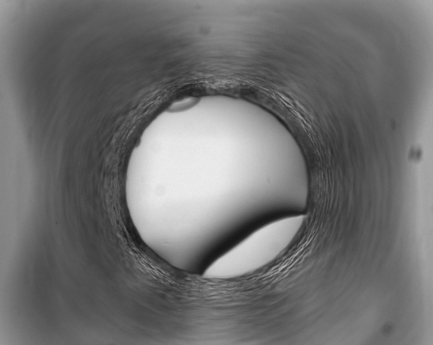 X0000100471345200806130745