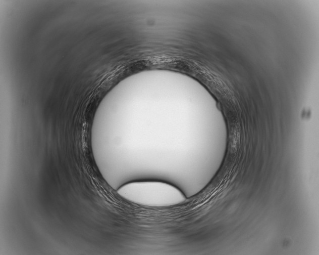 X0000100471346200806130745