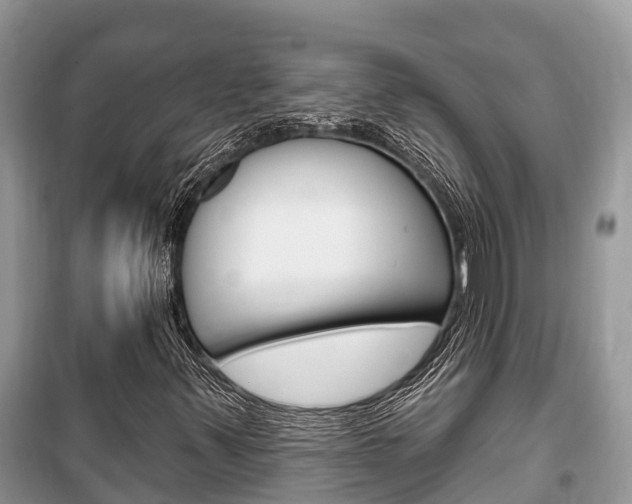 X0000100471347200806130745