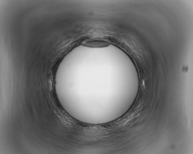 X0000100471348200806130745