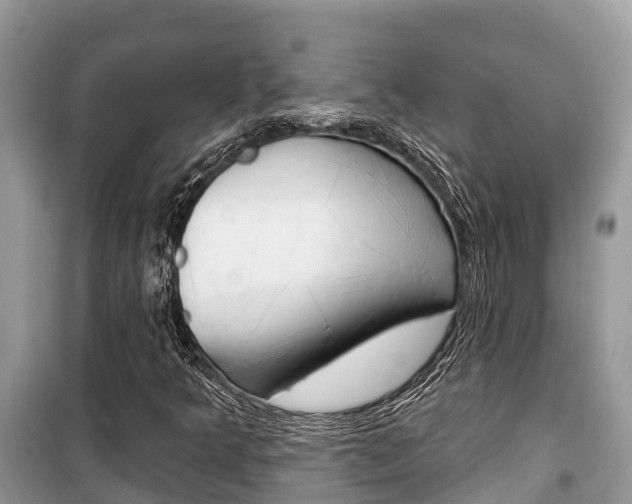 X0000100471349200806130745