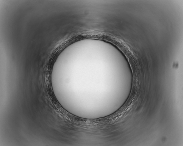 X0000100471350200806130745