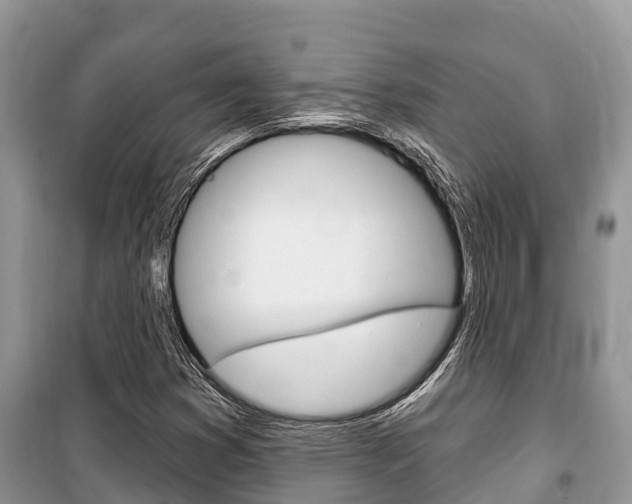 X0000100471353200806130745