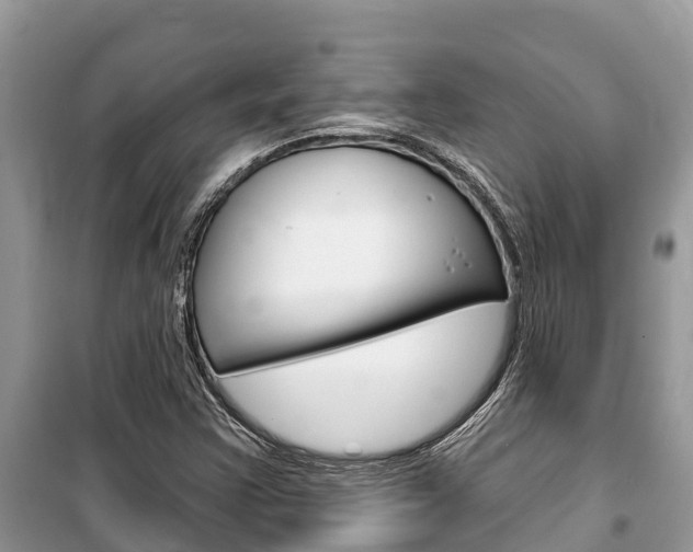 X0000100471355200806130745