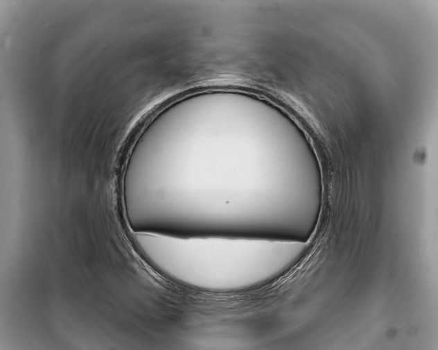 X0000100471356200806130745