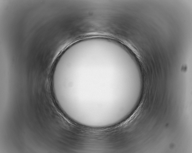 X0000100471357200806130745