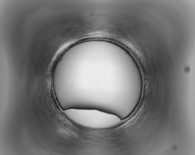 X0000100471358200806130745