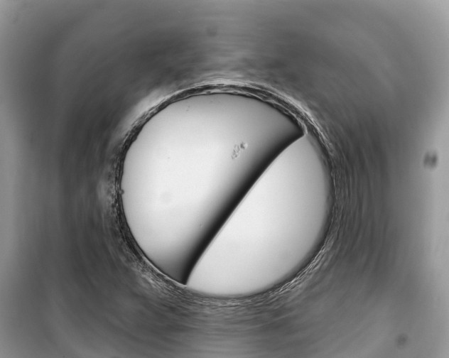 X0000100471359200806130745