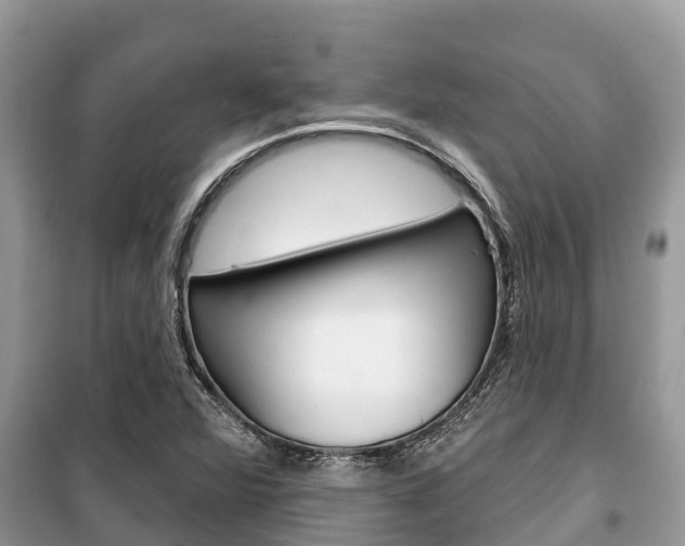 X0000100471360200806130745