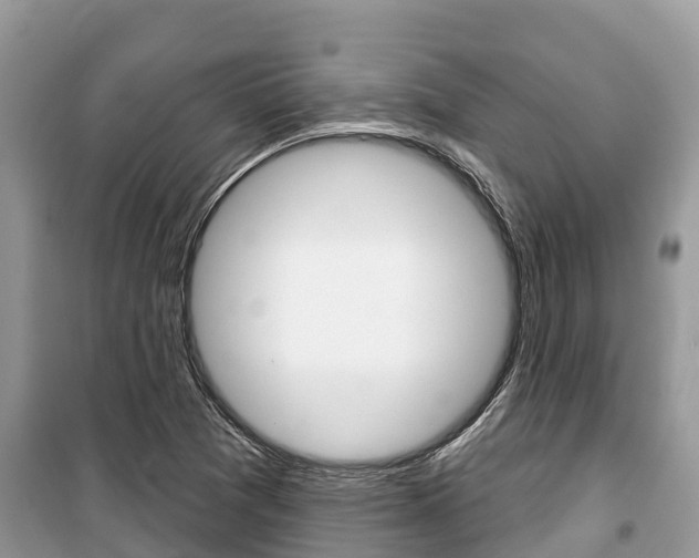 X0000100471361200806130745