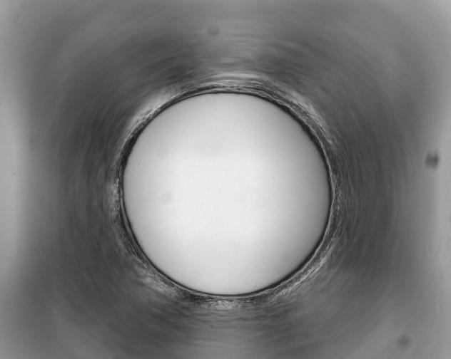 X0000100471362200806130745