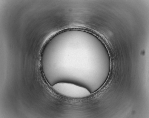 X0000100471363200806130745