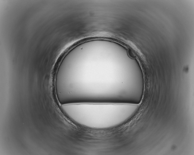 X0000100471364200806130745