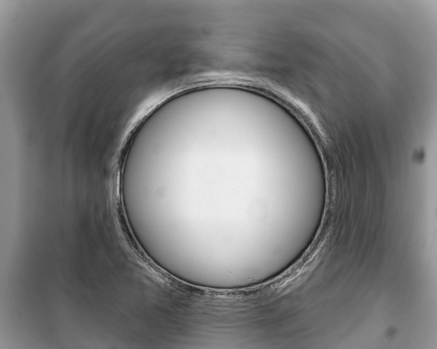 X0000100471365200806130745