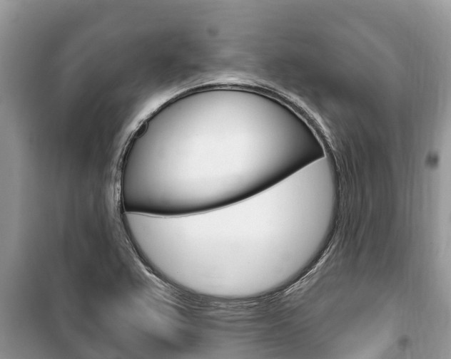 X0000100471367200806130745