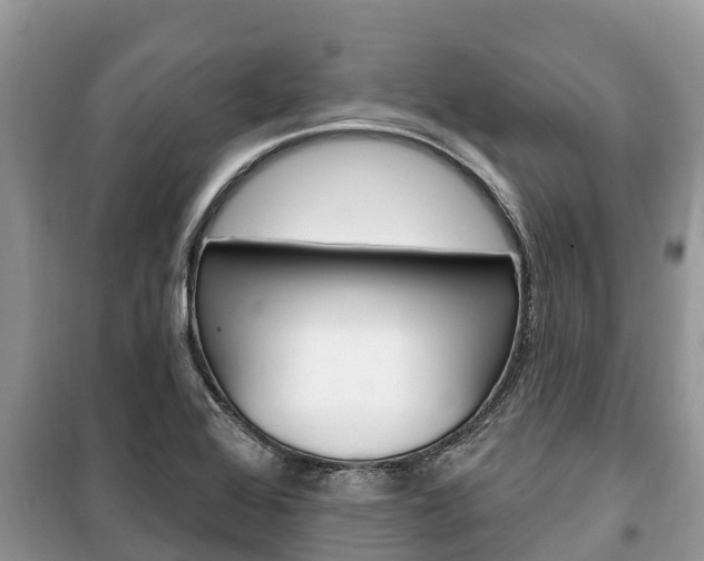 X0000100471368200806130745
