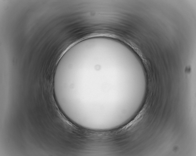 X0000100471369200806130745