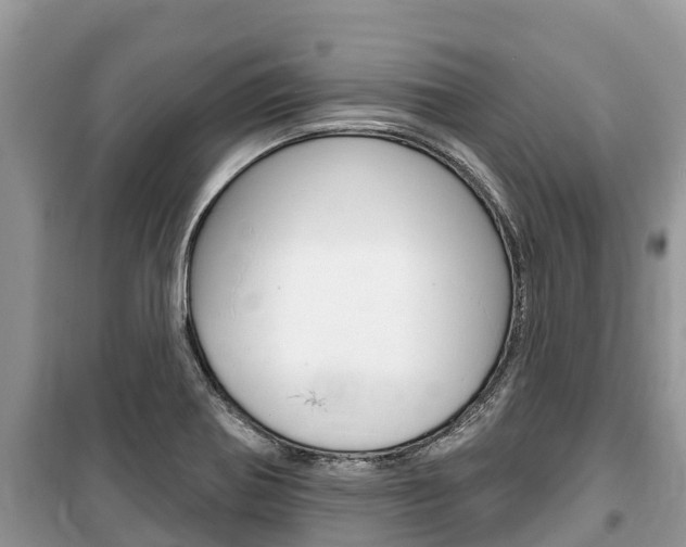 X0000100471370200806130745