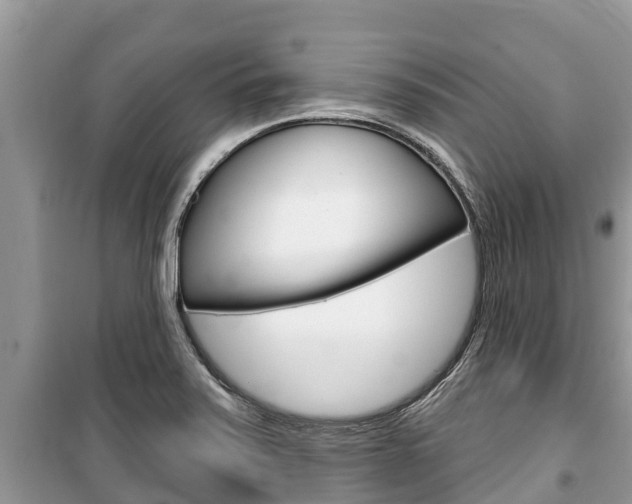 X0000100471371200806130745