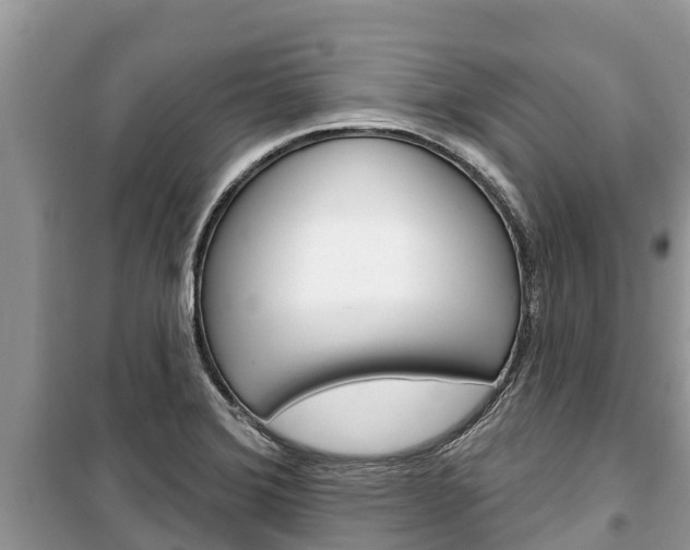 X0000100471372200806130745