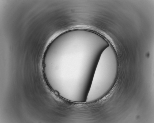 X0000100471373200806130745