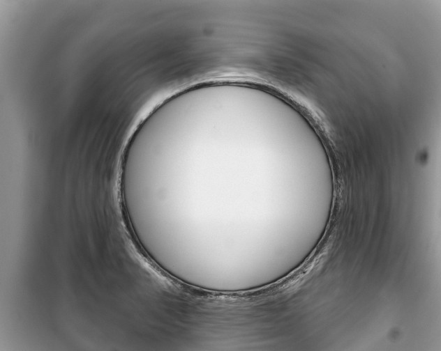 X0000100471374200806130745