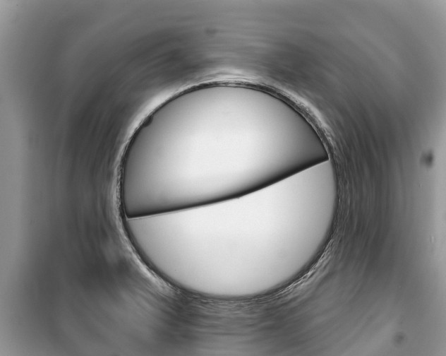 X0000100471375200806130745