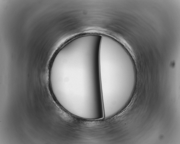 X0000100471376200806130745