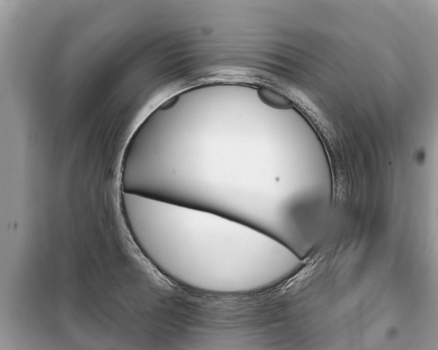 X0000100471378200806130745