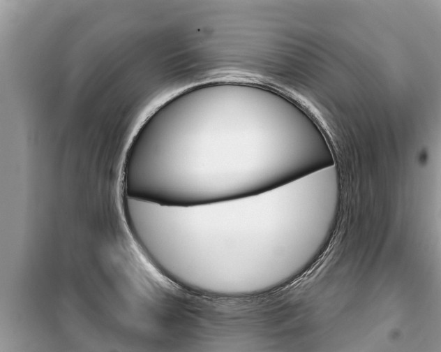 X0000100471379200806130745