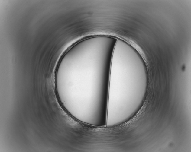 X0000100471380200806130745