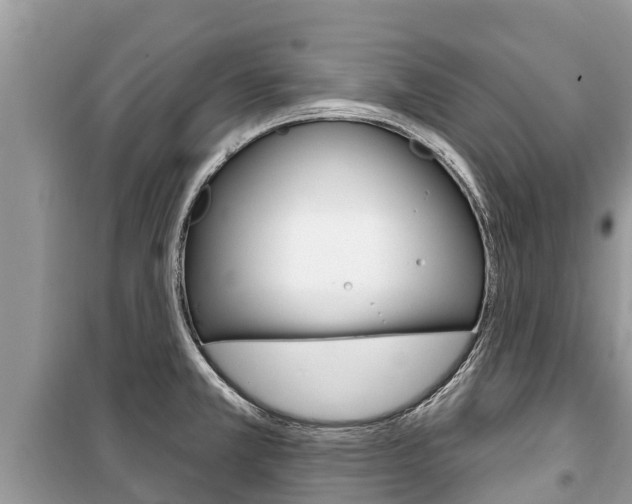 X0000100471381200806130745