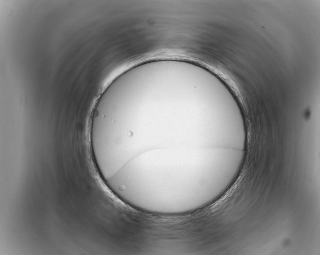 X0000100471382200806130745