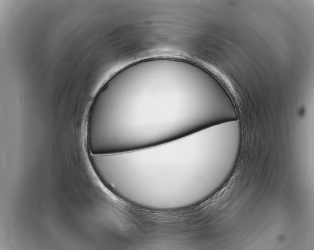 X0000100471383200806130745