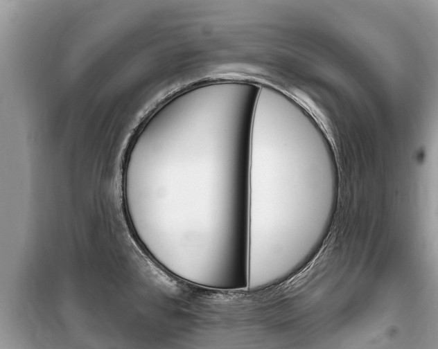 X0000100471384200806130745