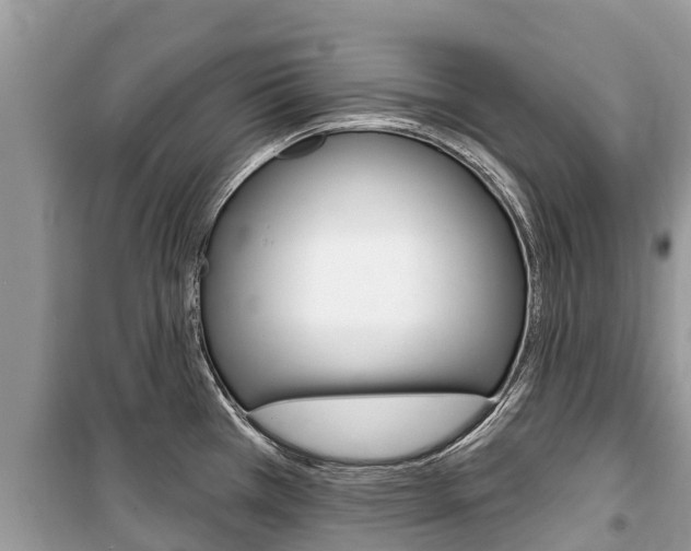 X0000100471385200806130745