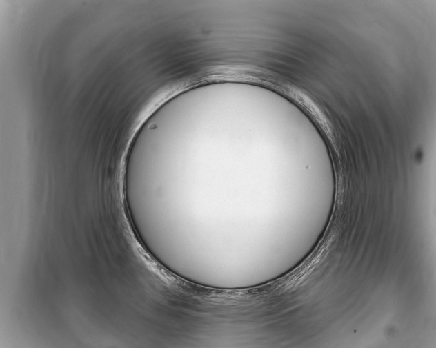 X0000100471386200806130745