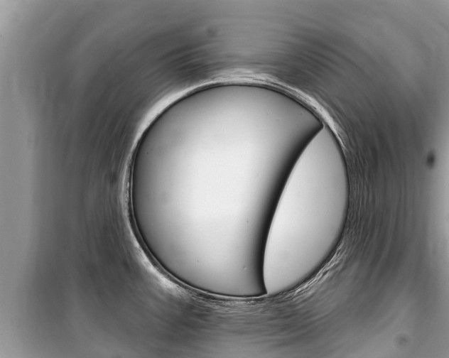 X0000100471387200806130745