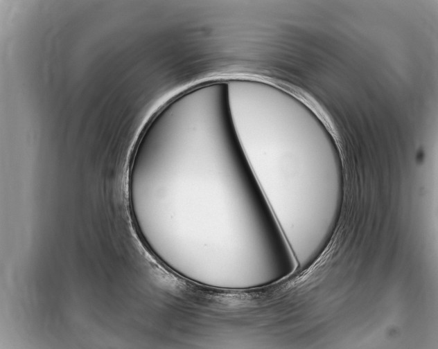 X0000100471388200806130745