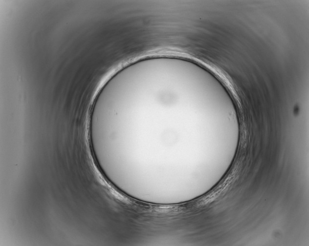 X0000100471390200806130745