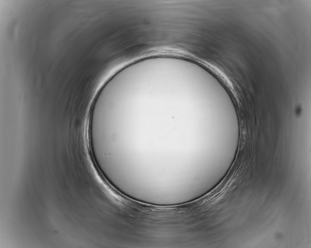 X0000100471391200806130745