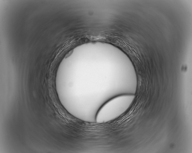 X0000100471393200806130744