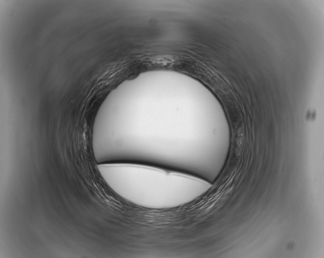 X0000100471394200806130744