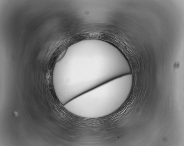 X0000100471395200806130744