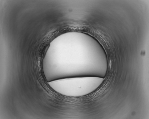 X0000100471396200806130744