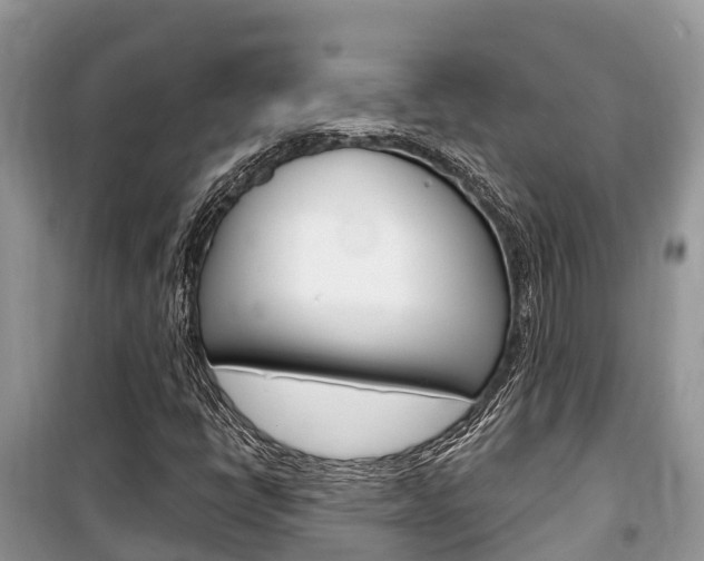 X0000100471398200806130744