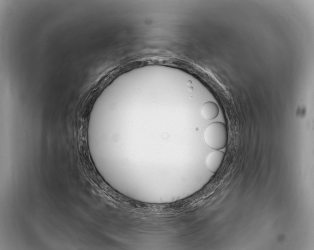 X0000100471399200806130744