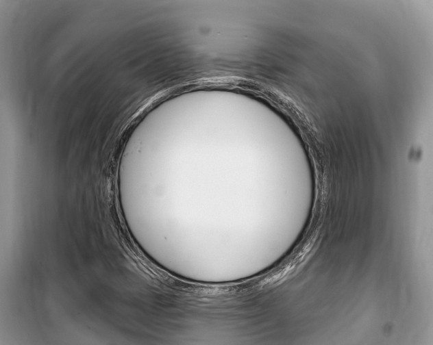 X0000100471401200806130744