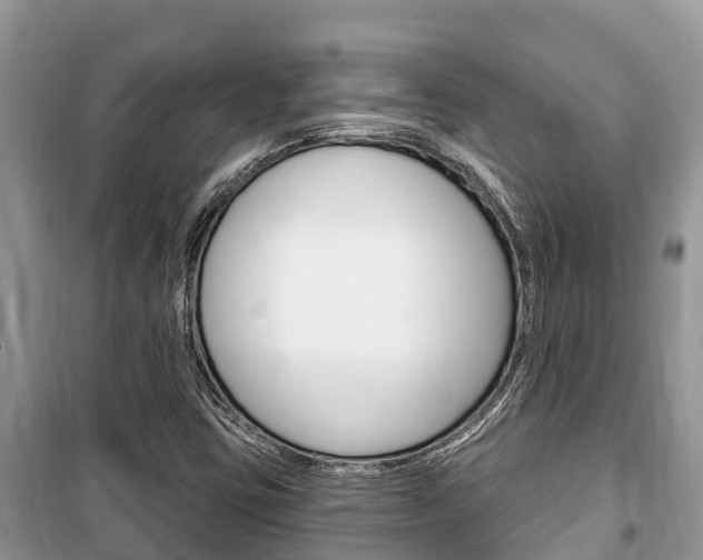 X0000100471403200806130744