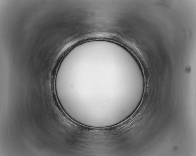 X0000100471404200806130744